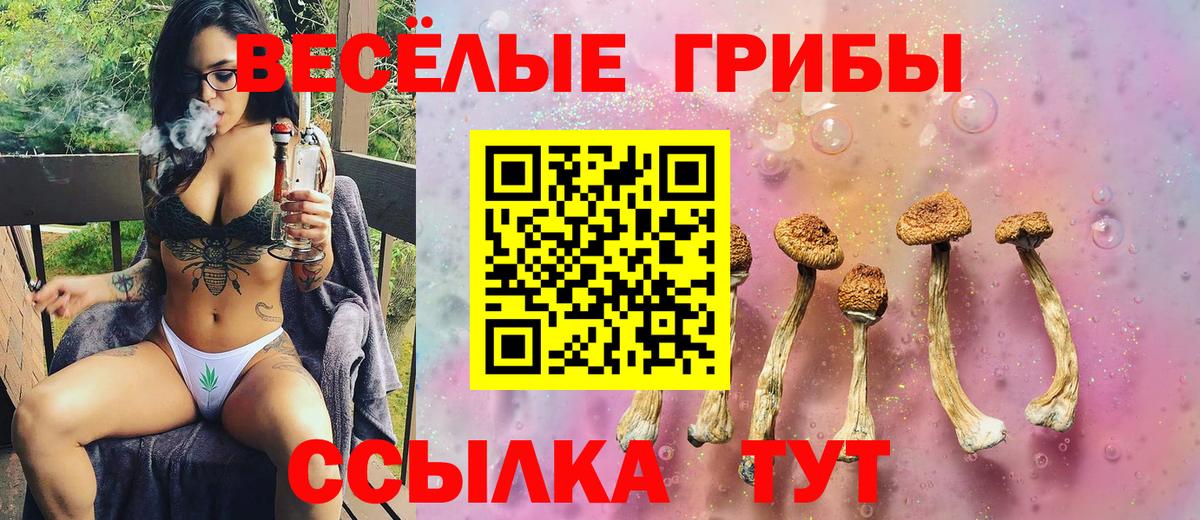 Псилоцибиновые грибы Magic Shrooms Новоалтайск